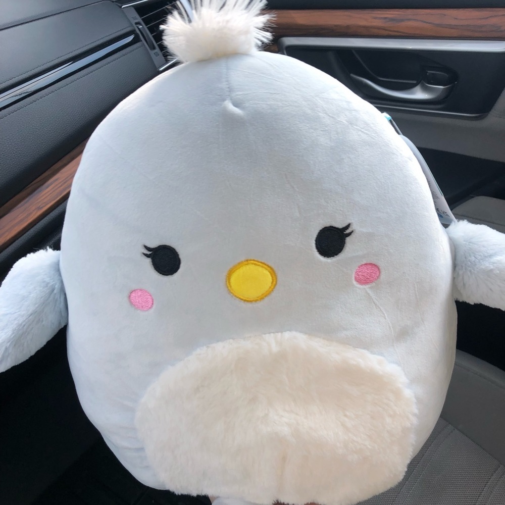 Camden the blue bird Squishmallow brand NEW